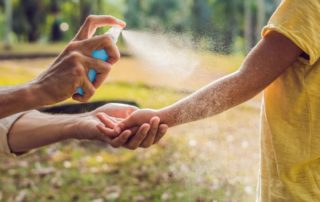 Unbeschwerter Sommer: So schützen Sie sich vor Insekten