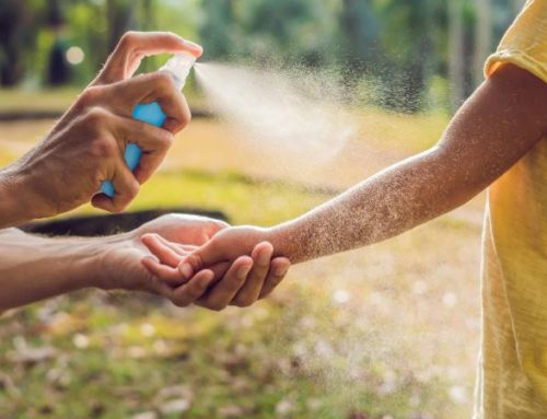 Unbeschwerter Sommer: So schützen Sie sich vor Insekten