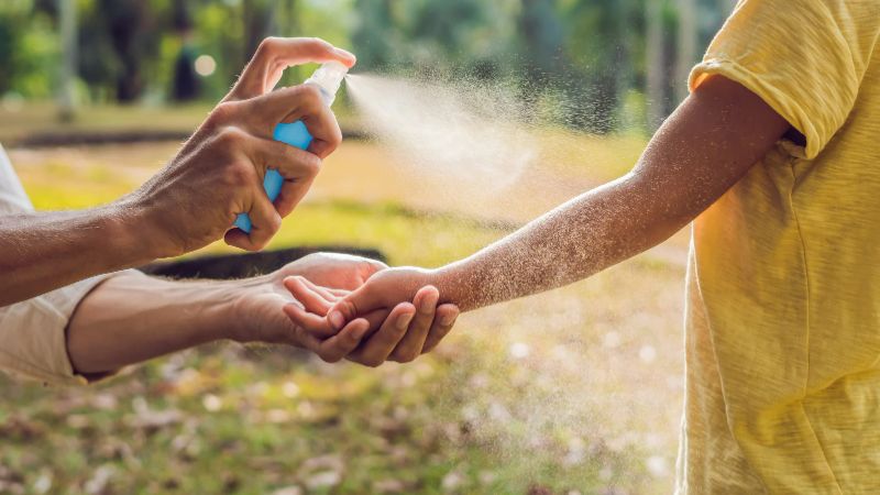 Unbeschwerter Sommer: So schützen Sie sich vor Insekten