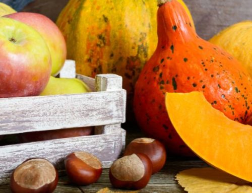 Kraftvoll durch den Herbst: Die besten Superfoods für Energie und Wohlbefinden