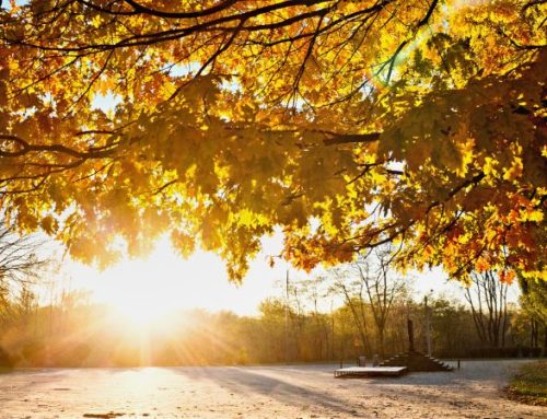 Warum Sie Vitamin D im Winter nicht vernachlässigen sollten