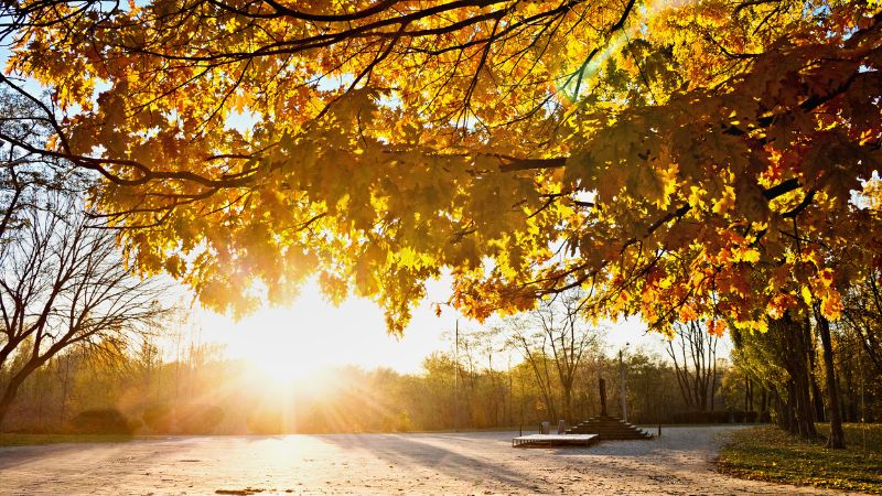 Warum Sie Vitamin D im Winter nicht vernachlässigen sollten