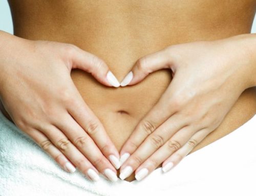 Darmgesundheit: Das unterschätzte Fundament für Fitness, Energie und mentale Stärke
