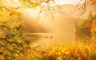 herbstliche Landschaft mit einem See unter goldener sonneneinstrahlung
