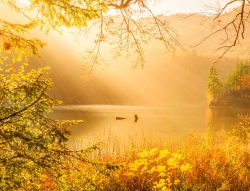 Gesund durch Herbst und Winter – mit der Kraft des Sonnenvitamins