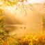 herbstliche Landschaft mit einem See unter goldener sonneneinstrahlung