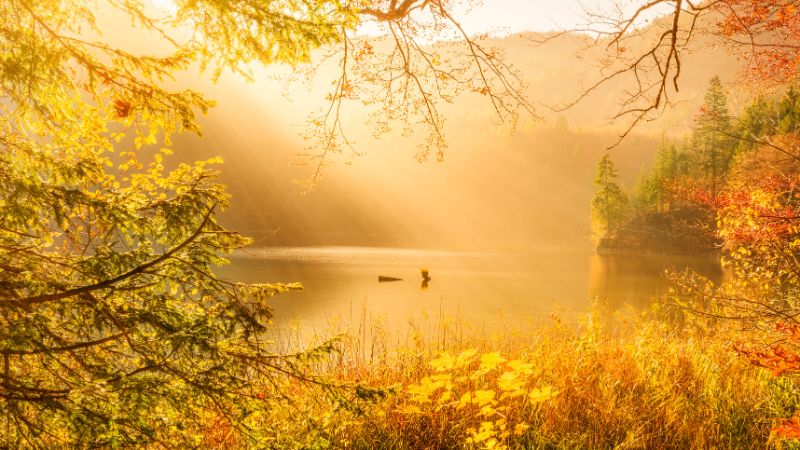 herbstliche Landschaft mit einem See unter goldener sonneneinstrahlung