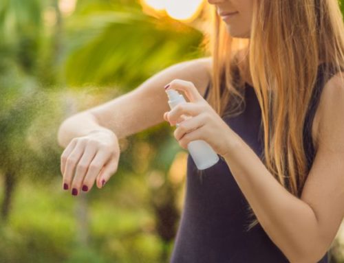 Sommer ohne lästige Stiche: Der richtige Insektenschutz für Haut, Haus und Natur